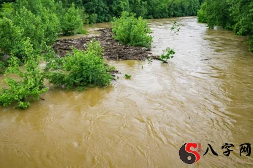 梦见清澈的河水